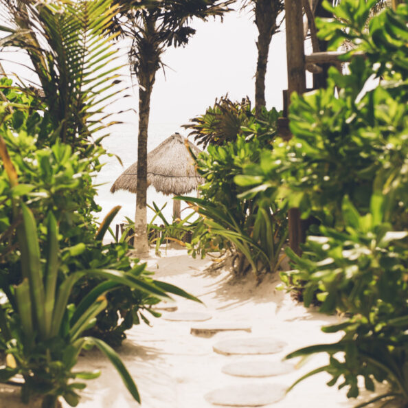 Pathway to beach, elevated view, Tulum, Mexico